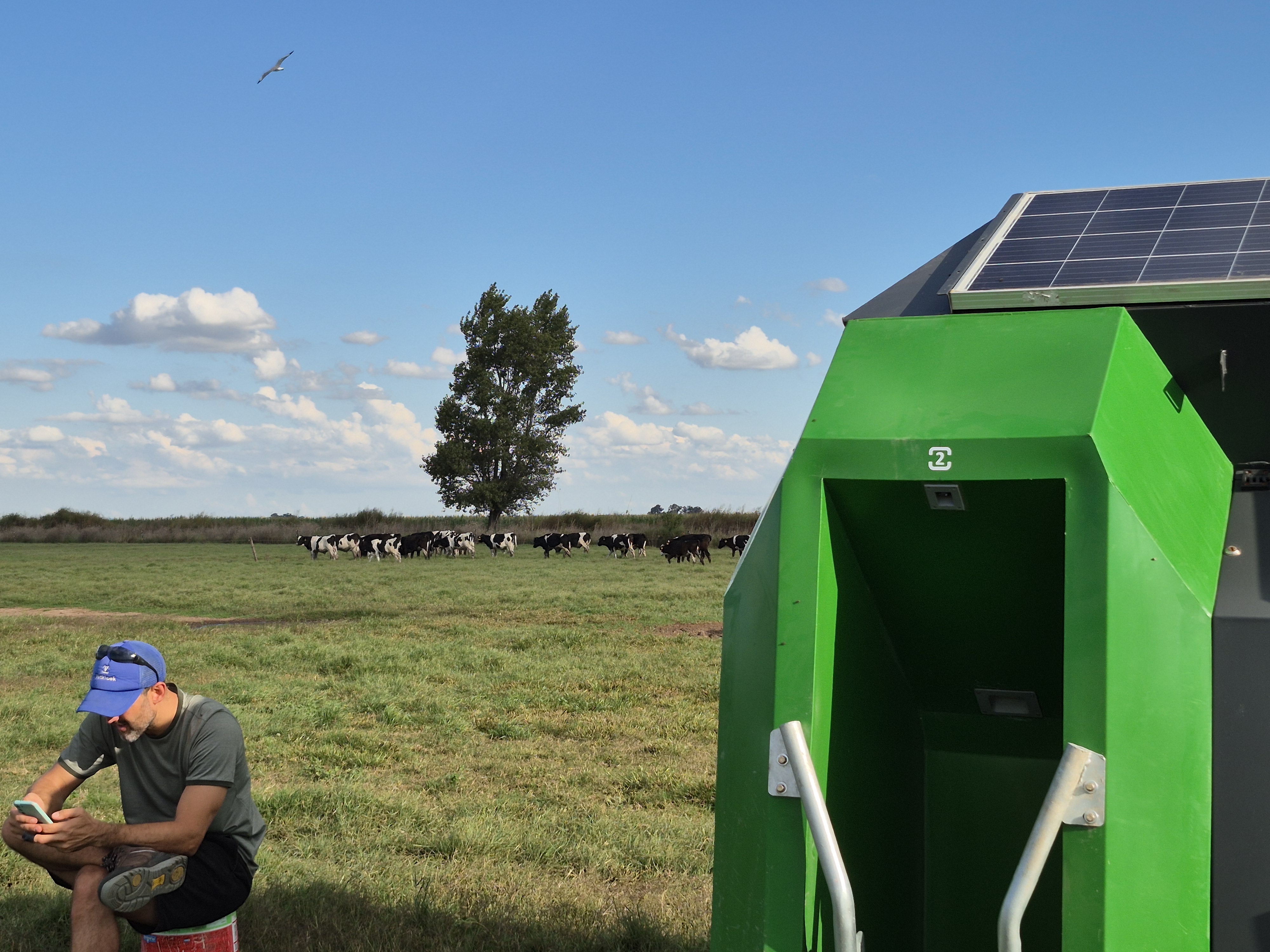 Vetkiosk device with cattle, real field photo