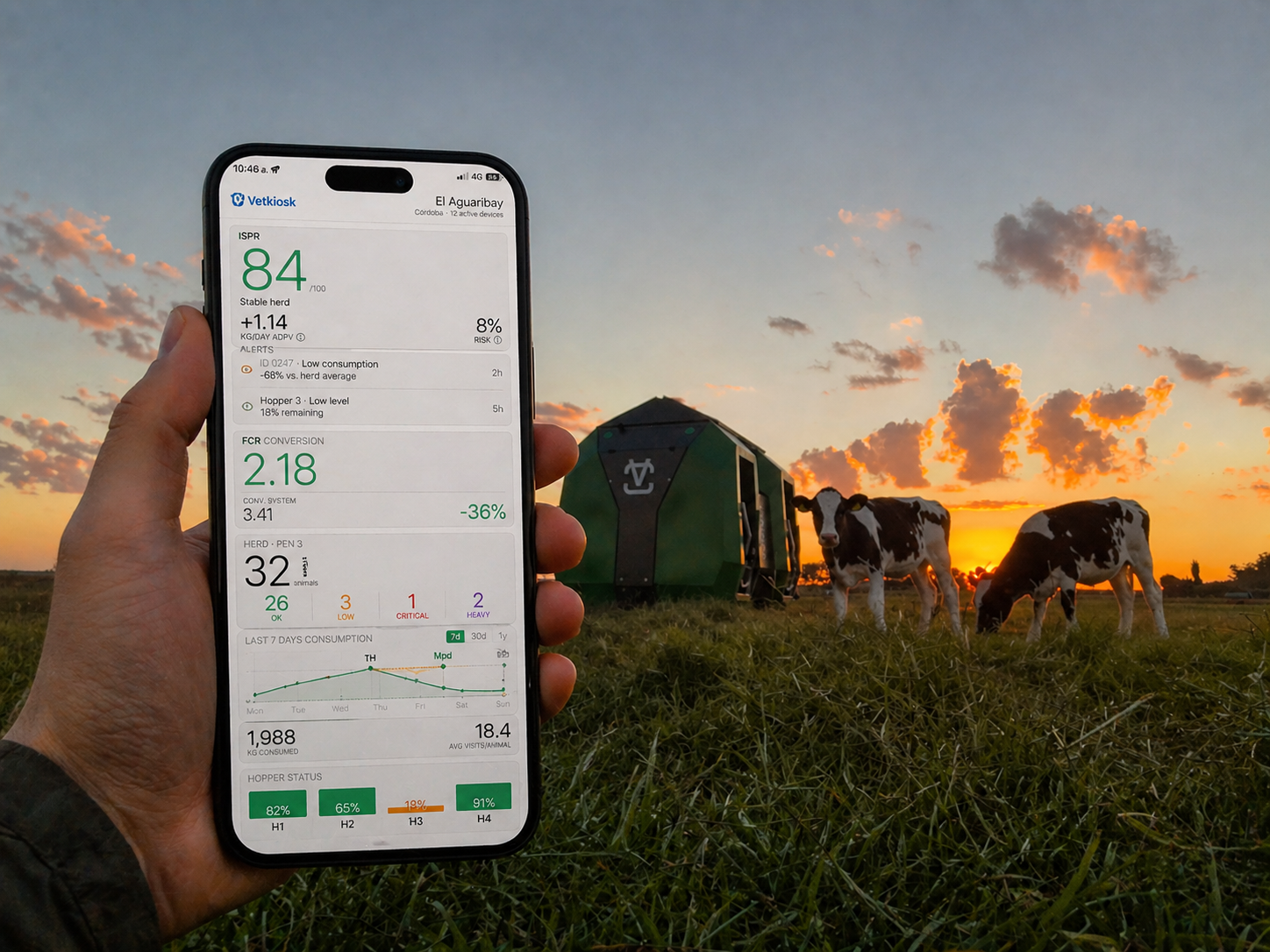 Vetkiosk device at sunset with cattle, sharp cinematic photo