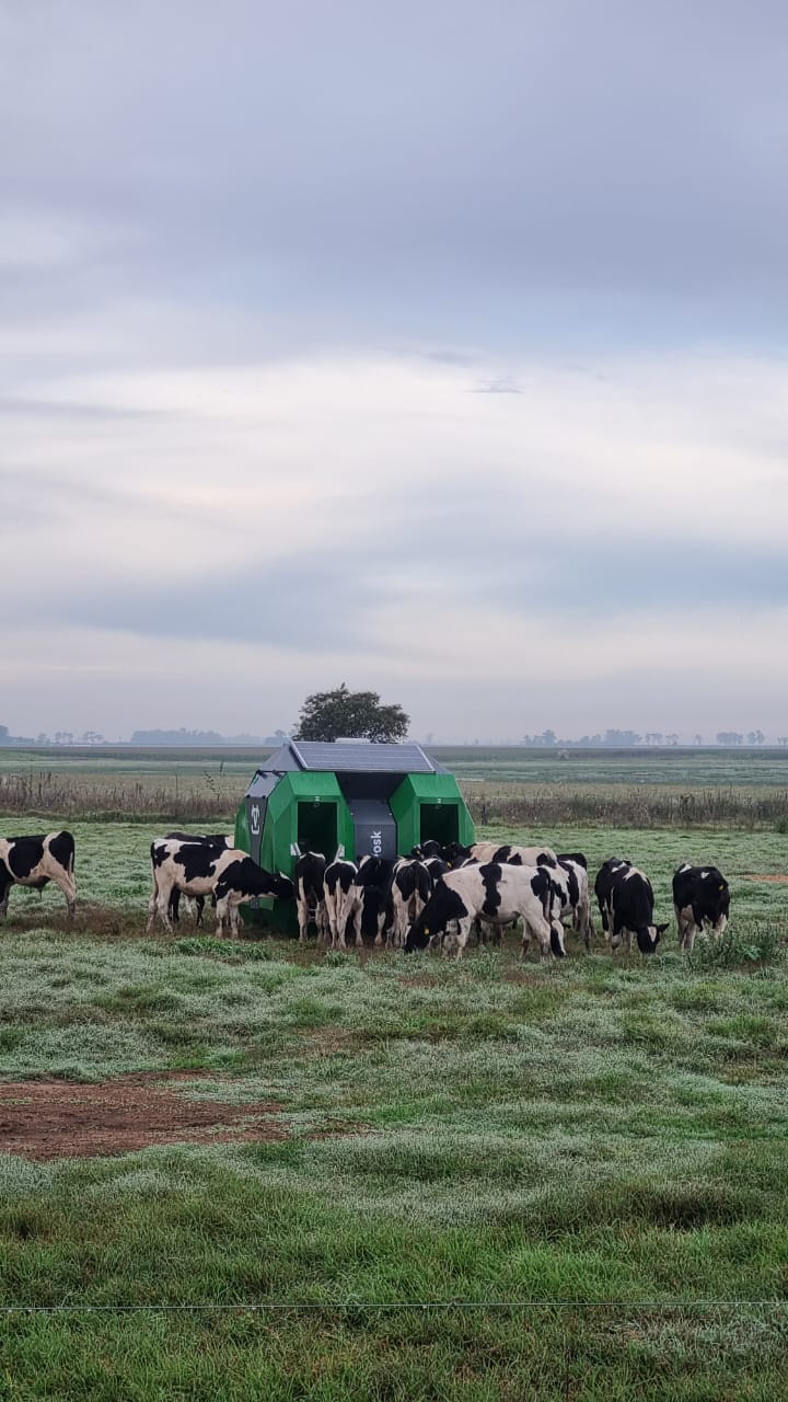 Vetkiosk feeder in a real dairy field